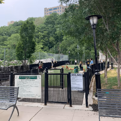 Dog Park at 1600 Park photo 1